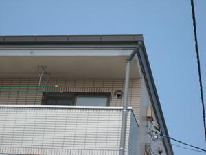 IMG_1097.JPG